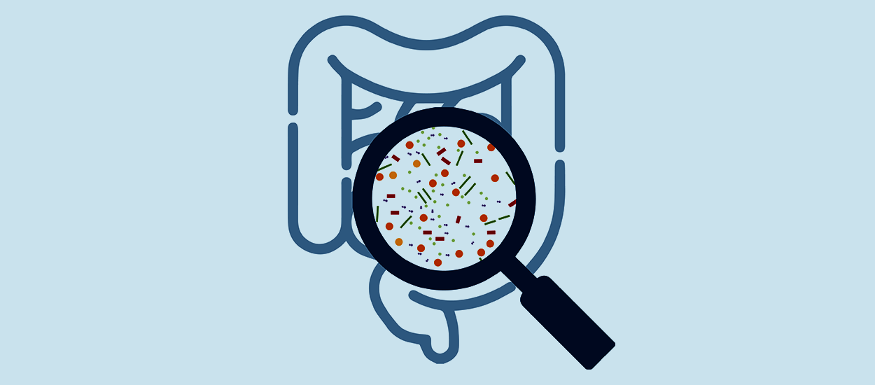 The gut microbiome how does it work? Analysis of your gut microbiome